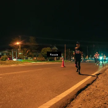 Runner Photo 4461745