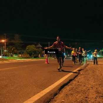 Runner Photo 4461829