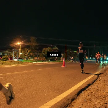 Runner Photo 4461834