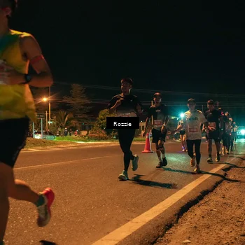 Runner Photo 4462044