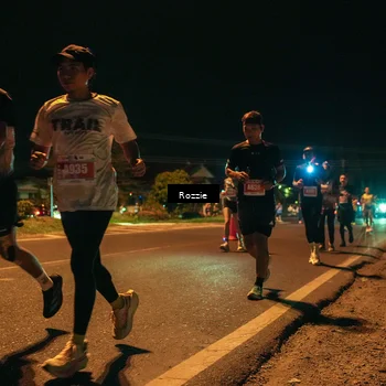 Runner Photo 4462062
