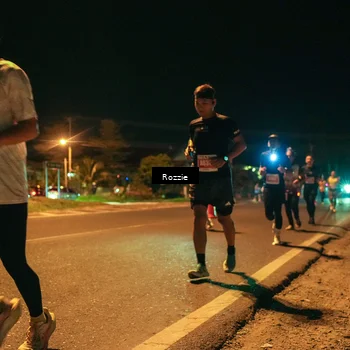 Runner Photo 4462075