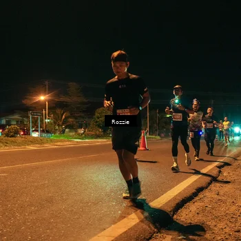 Runner Photo 4462113