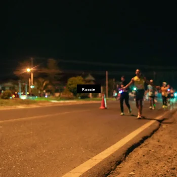 Runner Photo 4462134