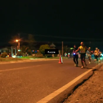 Runner Photo 4462142