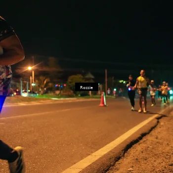 Runner Photo 4462156