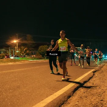 Runner Photo 4462183