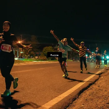 Runner Photo 4462247
