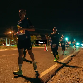 Runner Photo 4462364