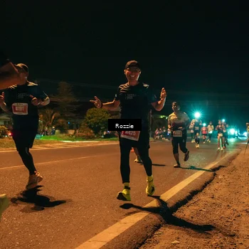 Runner Photo 4462387
