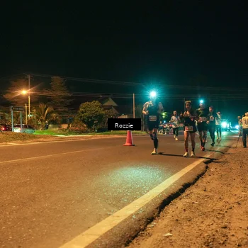 Runner Photo 4462422
