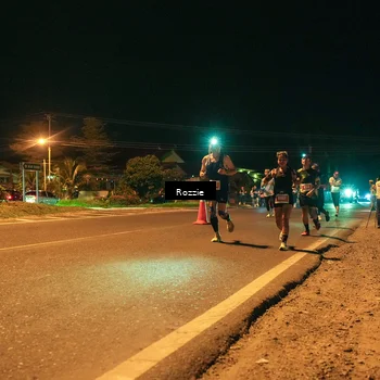 Runner Photo 4462436