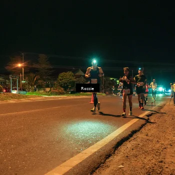 Runner Photo 4462444