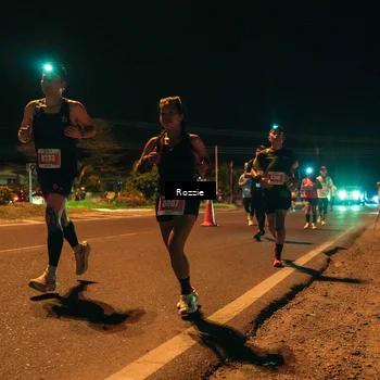 Runner Photo 4462494