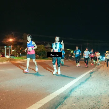 Runner Photo 4462595