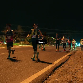 Runner Photo 4462600