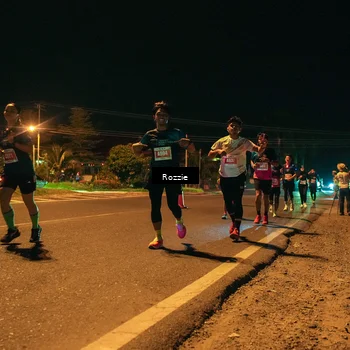 Runner Photo 4462636