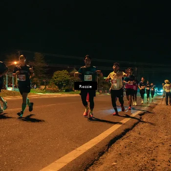 Runner Photo 4462640