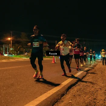 Runner Photo 4462674