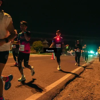 Runner Photo 4462696