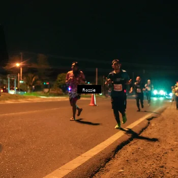 Runner Photo 4462757