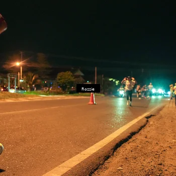 Runner Photo 4462923