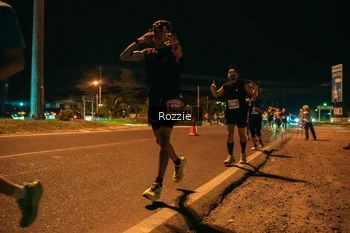 Runner Photo 4463058