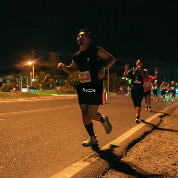 Runner Photo 4463090