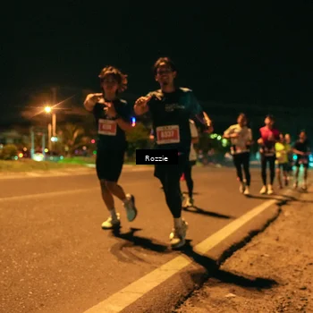 Runner Photo 4463243