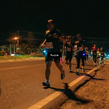 Runner Photo 4463247