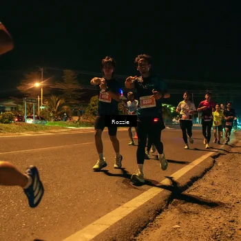 Runner Photo 4463271