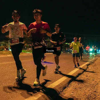 Runner Photo 4463309