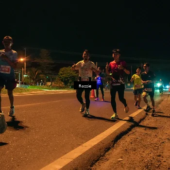 Runner Photo 4463413