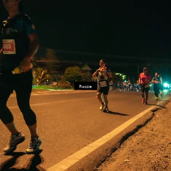 Runner Photo 4463418