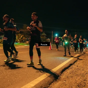 Runner Photo 4463570