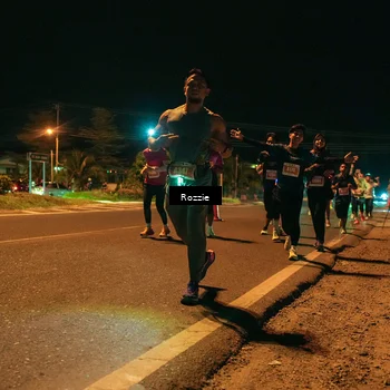 Runner Photo 4463581