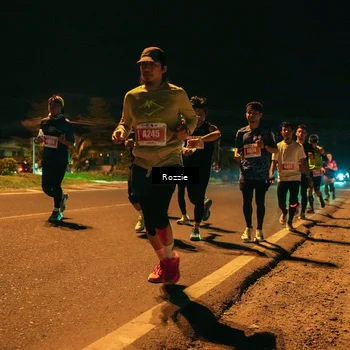 Runner Photo 4463687