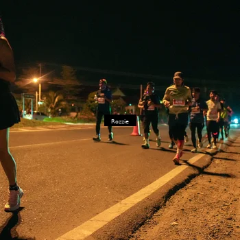 Runner Photo 4463693