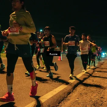 Runner Photo 4463703