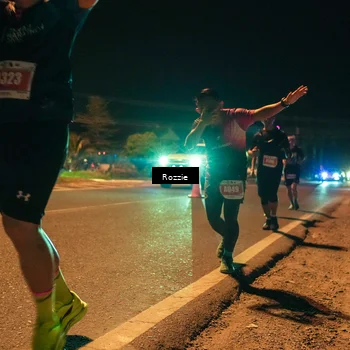 Runner Photo 4463862