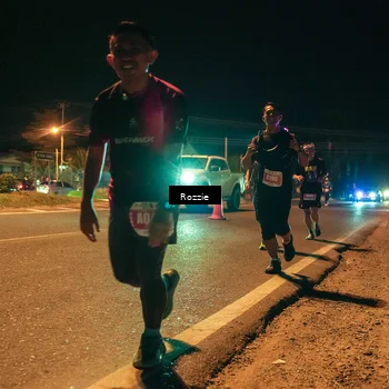 Runner Photo 4463887