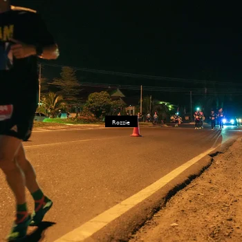 Runner Photo 4463992