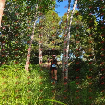 Runner Photo 4464