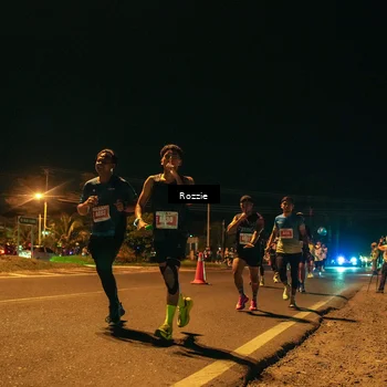 Runner Photo 4464146