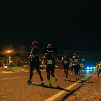 Runner Photo 4464163