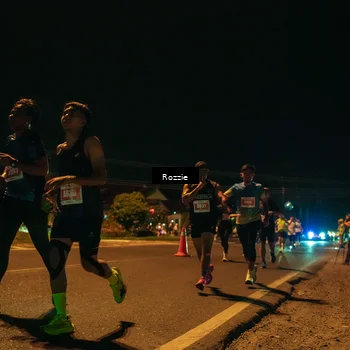 Runner Photo 4464188