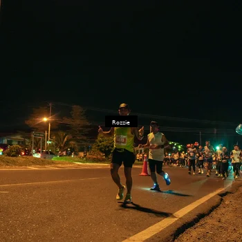 Runner Photo 4464243