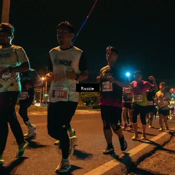 Runner Photo 4464330
