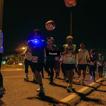 Runner Photo 4465027