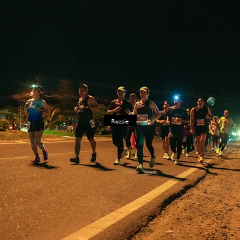 Runner Photo 4465566